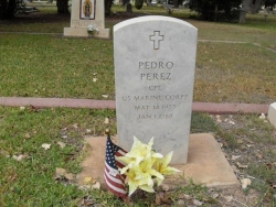 Pedro (Vet.) Perez