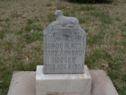 Walter Peery Hoover