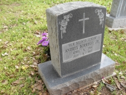 Andres Borrego Jr.