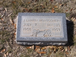 J. Larkin Montgomery