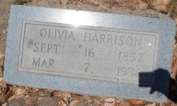 Olivia Harrison