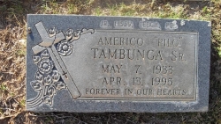 Americo (Pilo) Tambunga