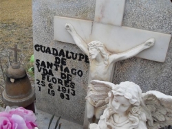 Guadalupe De Santiago
