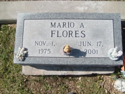 Mario A. Flores