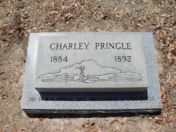 Charlie Pringle