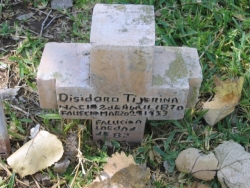 Desidoro Tijerina