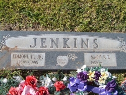 Edmond H. Jenkins Jr.