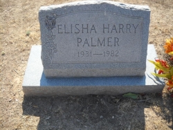 Elisha Harry Palmer