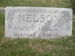 Andy F Nelson
