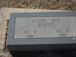 Lottie Mae Evans