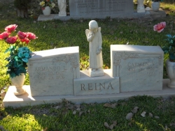 Armando L. Reina