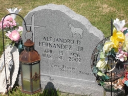 Alajandro D. Fernandez Jr.