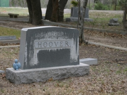 Johnnye West Hoover