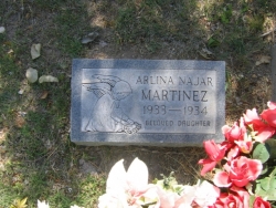 Arlina Najar Martinez
