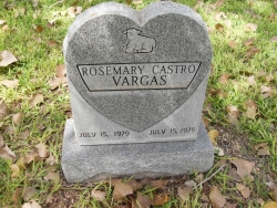 RoseMary Castro Vargas
