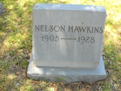Nelson Hawkins